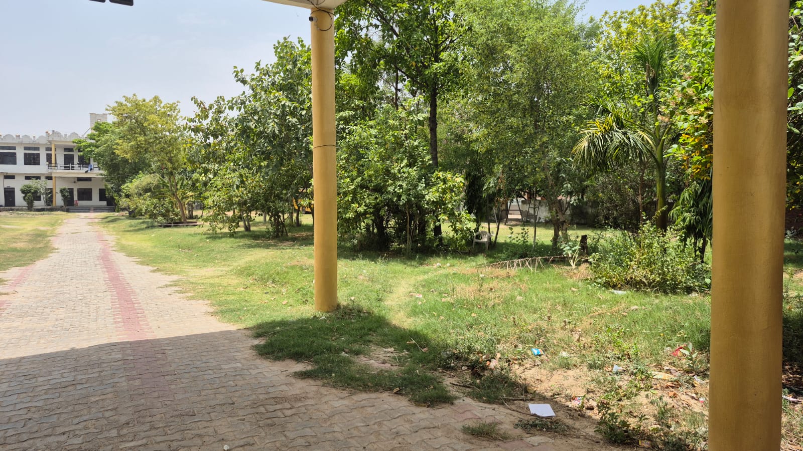 Campus Garden
