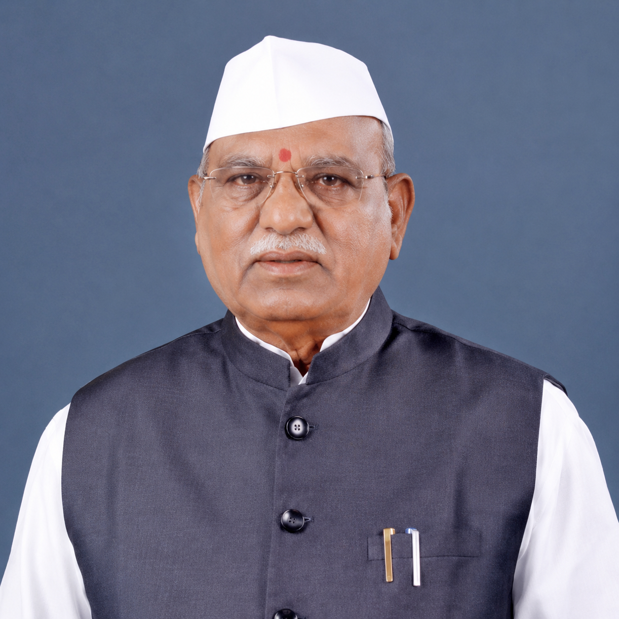 Shri Haribhau Kisanrao Bagde